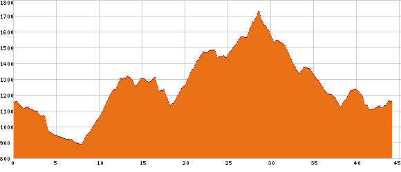 Elevation profile