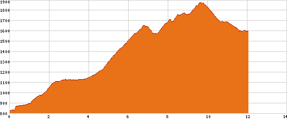 Elevation profile