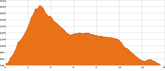 Elevation profile