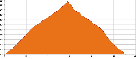 Elevation profile